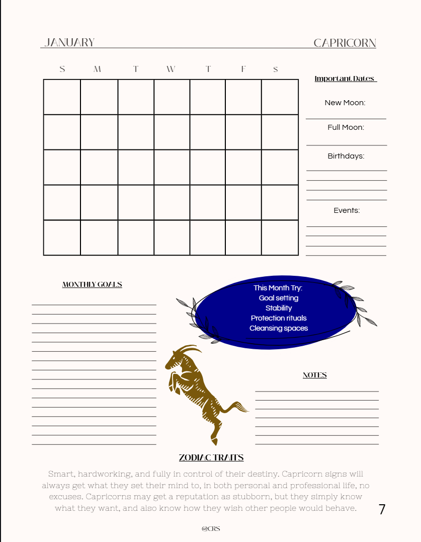 Witchy Ethereal Zodiac Planner